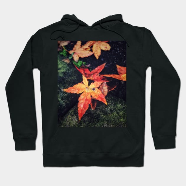 Autumn Leaves Hoodie by goodieg